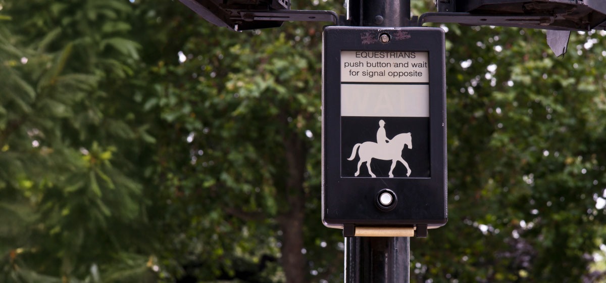 Pegasus crossing: what you need to know